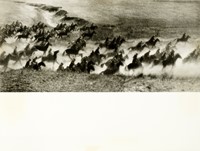 43855.jpg