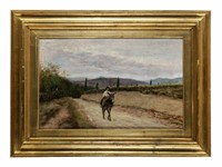 Giovane con asino su strada di campagna.