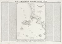 44457.jpg