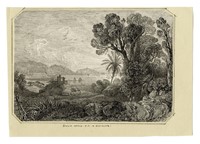 Lotto composto di 4 disegni a tema naturalistico.