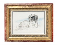 Liegender pekinese.