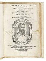 45151.jpg