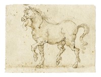 Studio per cavallo al trotto.