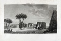 46173.jpg