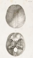 Anatomie de l'homme, ou description et figures lithographiees de toutes les parties du corps humain [...] Tome premier [-cinquieme].