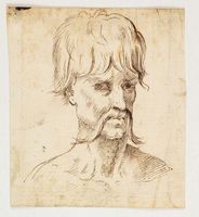Studio di testa virile con lunghi baffi.