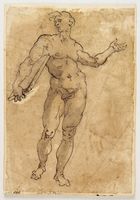 Figura virile.