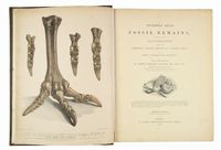 Pictorial atlas of fossil remains...