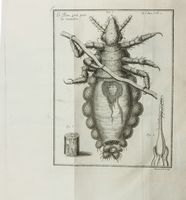 Observations d'histoire naturelle, faites avec le microscope, sur un grand nombre d'insectes, & sur les animalcules qui se trouvent dans les liqueurs [...]. Tome premier (-second).