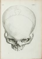 Ostéo-graphie, ou description des os de l'adulte, du foetus, & c. precedée d'une introduction à l'étude des parties solides du corps humain.