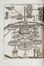  Schott Gaspar : Magiae Universalis Naturae et Artis, Pars III. & IV. in IX. Libros digesta...  - Asta Manoscritti, Libri, Autografi, Stampe & Disegni - Libreria Antiquaria Gonnelli - Casa d'Aste - Gonnelli Casa d'Aste