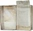 Raccolta di circa 190 documenti pergamenacei e alcuni cartacei.  - Auction Manuscripts, Books, Autographs, Prints & Drawings - Libreria Antiquaria Gonnelli - Casa d'Aste - Gonnelli Casa d'Aste