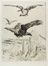  Franois-Nicolas Chifflart  (St. Omer, 1825 - Parigi, 1901) : Perseo.  - Asta Manoscritti, Libri, Autografi, Stampe & Disegni - Libreria Antiquaria Gonnelli - Casa d'Aste - Gonnelli Casa d'Aste