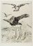  François-Nicolas Chifflart  (St. Omer, 1825 - Parigi, 1901) : Perseo.  - Asta Manoscritti, Libri, Autografi, Stampe & Disegni - Libreria Antiquaria Gonnelli - Casa d'Aste - Gonnelli Casa d'Aste