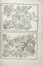  Ferdinando Morozzi  (Siena, 1723 - 1785) : Lotto composto di 3 album di stampe e disegni di vegetali e animali realizzati da Ferdinando Morozzi.  - Auction Manuscripts, Books, Autographs, Prints & Drawings - Libreria Antiquaria Gonnelli - Casa d'Aste - Gonnelli Casa d'Aste