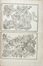  Ferdinando Morozzi  (Siena, 1723 - 1785) : Lotto composto di 3 album di stampe e disegni di vegetali e animali realizzati da Ferdinando Morozzi.  - Asta Manoscritti, Libri, Autografi, Stampe & Disegni - Libreria Antiquaria Gonnelli - Casa d'Aste - Gonnelli Casa d'Aste