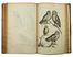  Willughby Francis : Ornithologiae Libri Tres...  Frederick Hendrik (van) Hove  ( - 1698), William Faithorne, William Sherwin  - Asta Libri, Grafica - Libreria Antiquaria Gonnelli - Casa d'Aste - Gonnelli Casa d'Aste