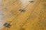  Arti applicate - arredamento - ceramiche - ornamenti, Arte : Tavolo da campo pieghevole.  - Auction Design, Prints & Drawings - Libreria Antiquaria Gonnelli - Casa d'Aste - Gonnelli Casa d'Aste