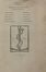  Isocrates : Nuper accurate recognitus, et auctus. Isocrates. Alcidamas. Gorgias. Aristides. Harpocration. Classici, Letteratura  - Auction BOOKS, MANUSCRIPTS AND AUTOGRAPHS - Libreria Antiquaria Gonnelli - Casa d'Aste - Gonnelli Casa d'Aste