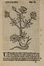  Arnaldo de Vilanova : Herbolario volgare, nel quale se dimostra a conoscer le herbe... Botanica, Figurato, Scienze naturali, Collezionismo e Bibiografia  - Auction BOOKS, MANUSCRIPTS AND AUTOGRAPHS - Libreria Antiquaria Gonnelli - Casa d'Aste - Gonnelli Casa d'Aste