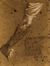  Giuseppe Bezzuoli  (Firenze, 1784 - 1855) [attribuito a] : Nudi di donna e di bambina che legge (Studio per L'educazione di Maria).  - Auction Prints and Drawings XVI-XX century, Paintings of the 19th-20th centuries - Libreria Antiquaria Gonnelli - Casa d'Aste - Gonnelli Casa d'Aste