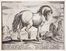  Antonio Tempesta  (Firenze, 1555 - Roma, 1630) [da] : Cavalli di diversi paesi.  - Auction Prints, Drawings and Paintings from 16th until 20th centuries - Libreria Antiquaria Gonnelli - Casa d'Aste - Gonnelli Casa d'Aste