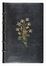  Bourget Paul : Pastels. Dix portraits de femmes [...]. Illustrations de Robaudi et Giraldon.  - Asta Libri, Manoscritti e Autografi - Libreria Antiquaria Gonnelli - Casa d'Aste - Gonnelli Casa d'Aste