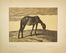  Ferdinand Andri  (Waidhofen an der Ybbs, 1871 - Vienna, 1956) [e altri] : Jahresmappe der Gesellschaft f�r Vervielf�ltigende Kunst in Wien.  - Asta Libri & Grafica - Libreria Antiquaria Gonnelli - Casa d'Aste - Gonnelli Casa d'Aste