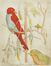  Raoul Dal Molin Ferenzona  (Firenze, 1879 - Milano, 1946) : Lotto composto di 2 incisioni.  - Auction Books & Graphics - Libreria Antiquaria Gonnelli - Casa d'Aste - Gonnelli Casa d'Aste