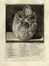  Antonio Cattani  (Piacenza,, ) : Base del teschio umano veduto in faccia/Parte super: del cranio segata...  - Auction Books & Graphics - Libreria Antiquaria Gonnelli - Casa d'Aste - Gonnelli Casa d'Aste