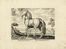  Marcus Sadeler  (Munich, ) : Lotto di 14 tavole e frontespizio da Equile, In quo omnis generis generosissimorum equorum ex varys orbis partibus insignis delectus.  - Auction Books & Graphics - Libreria Antiquaria Gonnelli - Casa d'Aste - Gonnelli Casa d'Aste