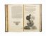  Fludd Robert : Philosophia Moysaica.  - Asta Libri & Grafica - Libreria Antiquaria Gonnelli - Casa d'Aste - Gonnelli Casa d'Aste