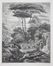  F�lix Bracquemond  (Parigi, 1833 - 1914) : Lotto composto di 8 incisioni.  - Asta Libri & Grafica - Libreria Antiquaria Gonnelli - Casa d'Aste - Gonnelli Casa d'Aste