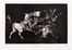  Francisco Goya y Lucientes  (Fuendetodos, 1746 - Bordeaux, 1828) : Los Proverbios. Quattro tavole supplementari pubblicate ne L'Art  - Asta Libri & Grafica - Libreria Antiquaria Gonnelli - Casa d'Aste - Gonnelli Casa d'Aste