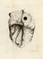  Senac Jean Baptiste : Trattato della struttura del cuore. Della sua azione e delle sue infermit� [...] Tradotto per la prima volta dal Francese. Tomo Primo (-Quarto).  Domanico Cagnoni  (Verona,  - 1797)  - Asta Libri & Grafica - Libreria Antiquaria Gonnelli - Casa d'Aste - Gonnelli Casa d'Aste