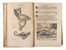  Par� Ambroise : Opera [...]. A docto viro plur�erisque locis recognita: Et latinitate donata, Iacobi Guillemeau [...] labore & diligentia.  Jacques Guillemeau  - Asta Libri & Grafica - Libreria Antiquaria Gonnelli - Casa d'Aste - Gonnelli Casa d'Aste
