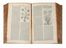  Theophrastus : De historia plantarum libri decem, Graec� & Latin� [...]. Latinam Gazae versionem nova interpretatione ad margines [...] item rariorum plantarum iconibus illustravit Ioannes Bodaeus � Stapel...  Teodoro Gaza, Iulius Caesar (Bordoni Giulio) Scaliger  (1484 - 1558), Johannes Bodaeus  - Asta Libri & Grafica - Libreria Antiquaria Gonnelli - Casa d'Aste - Gonnelli Casa d'Aste