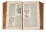 Theophrastus : De historia plantarum libri decem, Graec� & Latin� [...]. Latinam Gazae versionem nova interpretatione ad margines [...] item rariorum plantarum iconibus illustravit Ioannes Bodaeus � Stapel...  Teodoro Gaza, Iulius Caesar (Bordoni Giulio) Scaliger  (1484 - 1558), Johannes Bodaeus  - Asta Libri & Grafica - Libreria Antiquaria Gonnelli - Casa d'Aste - Gonnelli Casa d'Aste