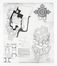  Lino Bianchi Barriviera  (Montebelluna, 1906 - Acilia, 1985) : Lotto composto di 1 disegno preparatorio e 3 acqueforti.  - Asta Libri & Grafica - Libreria Antiquaria Gonnelli - Casa d'Aste - Gonnelli Casa d'Aste