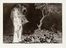  Francisco Goya y Lucientes  (Fuendetodos,, 1746 - Bordeaux,, 1828) : Los Proverbios.  - Asta Libri & Grafica - Libreria Antiquaria Gonnelli - Casa d'Aste - Gonnelli Casa d'Aste