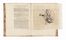  Ruysch Frederik : Observationum anatomico-chirurgicarum centuria. Accedit Catalogo rariorum, quae in Museo Ruyschiano osservantur.  - Asta Libri & Grafica - Libreria Antiquaria Gonnelli - Casa d'Aste - Gonnelli Casa d'Aste
