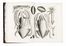  Seba Albert : Locupletissimi rerum naturalium thesauri accurata descriptio, et iconibus artificiosissimis expressio, per universam physices historiam [...] Tomus I (-IV).  Jan Maurits Quinkhard, Jacobus Houbraken  (Dordrecht, 1698 - Amsterdam, 1780), Pieter Tanjé  - Asta Libri & Grafica - Libreria Antiquaria Gonnelli - Casa d'Aste - Gonnelli Casa d'Aste