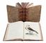  Manetti Saverio : Storia naturale degli uccelli trattata con metodo [...]. Tomo primo (-quinto ed ultimo). Uccelli, Scienze naturali, Figurato, Scienze naturali, Collezionismo e Bibliografia  Violante Lampredi Vanni  ( - 1776), Lorenzo Lorenzi  - Auction Books & Graphics - Libreria Antiquaria Gonnelli - Casa d'Aste - Gonnelli Casa d'Aste