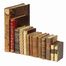 Raccolta di 12 opere di letteratura inglese e francese.  Eugène Burnand, François Fénelon (de Salignac de la Mothe), François (de) La Rochefoucauld, Jules Gérard, Richard Hildreth, Francesco d'Assisi (santo)  - Asta Grafica & Libri - Libreria Antiquaria Gonnelli - Casa d'Aste - Gonnelli Casa d'Aste