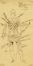 Lotto composto di 48 bozzetti teatrali per opere di Giuseppe Verdi.  Giuseppe Verdi  (Roncole Verdi, 1813 - Milano, 1901)  - Asta Grafica & Libri - Libreria Antiquaria Gonnelli - Casa d'Aste - Gonnelli Casa d'Aste
