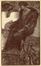  Adolfo De Carolis  (Montefiore dell'Aso, 1874 - Roma, 1928) : Pellicceria Maria Ved. Rossi. (Catalogo pubblicitario)  - Auction Graphics & Books - Libreria Antiquaria Gonnelli - Casa d'Aste - Gonnelli Casa d'Aste