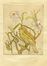  Raoul Dal Molin Ferenzona  (Firenze, 1879 - Milano, 1946) : Inni sacri. Incisioni originali di R.D.M. Ferenzona.  Alessandro Manzoni  - Auction Graphics & Books - Libreria Antiquaria Gonnelli - Casa d'Aste - Gonnelli Casa d'Aste