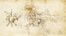  Anonimo della fine del XVII e inizi del XVIII secolo : Lotto di 6 disegni con studi di elementi decorativi.  - Asta Grafica & Libri - Libreria Antiquaria Gonnelli - Casa d'Aste - Gonnelli Casa d'Aste