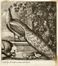  John Smith  (Daventry,  - Northampton, 1742) : Lotto di 16 tavole a mezzotinto.  - Auction Graphics & Books - Libreria Antiquaria Gonnelli - Casa d'Aste - Gonnelli Casa d'Aste