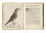  Olina Pietro Giovanni : Uccelliera overo discorso della natura e proprieta di diversi uccelli...  Antonio Tempesta  (Firenze, 1555 - Roma, 1630), Francesco Villamena  (Assisi,  - Roma, 1626)  - Asta Grafica & Libri - Libreria Antiquaria Gonnelli - Casa d'Aste - Gonnelli Casa d'Aste